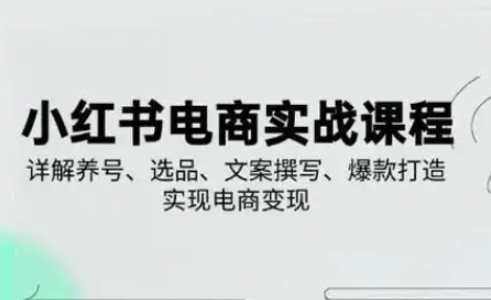 小红书从0-1实操课(2023-2025)，详解养号、选品、文案撰写、爆款打造实现电商变现-云创网:网创终点站