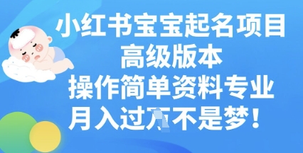 小红书宝宝起名项目高级版本,操作简单,资料专业,月入过W-云创网:网创终点站