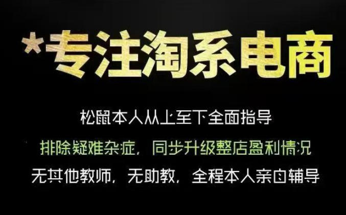 松鼠会电商VIP课程,从基础布局到高阶优化,助你掌握淘宝运营逻辑,提升店铺流量与转化(更新1022)-云创网:网创终点站