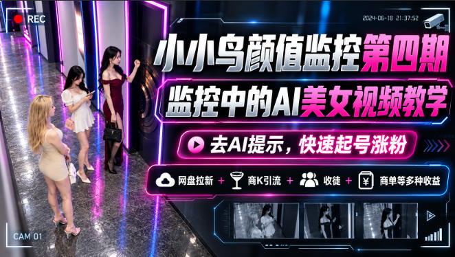 小小鸟颜值监控第四期,监控中的AI美女视频教学,去AI提示,快速起号涨粉,网盘拉新+商K引流+收徒+商单等多种收益-云创网:网创终点站