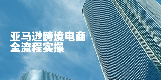 （14252期）亚马逊跨境电商全流程实操，教你从零开始，掌握店铺运营与广告技巧-云创网:网创终点站