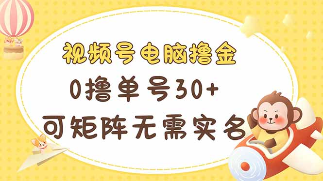 （14220期）视频号电脑撸金 0撸单号30+ 可矩阵 无需实名多号多得-云创网:网创终点站
