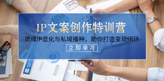 （14330期）IP文案创作特训营，灵魂IP显化与私域播种，助你打造变现闭环（14节课）-云创网:网创终点站