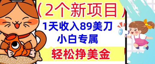 2个新项目，轻松挣美金， 1天收入89美刀，小白专属，干货分享-云创网:网创终点站