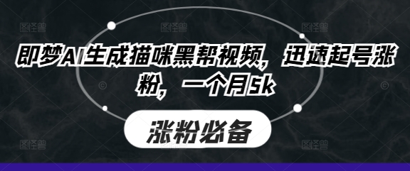 即梦AI生成猫咪黑帮视频，迅速起号涨粉，一个月5k-云创网:网创终点站