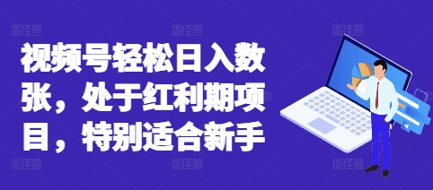 视频号轻松日入数张,处于红利期项目,特别适合新手-云创网:网创终点站