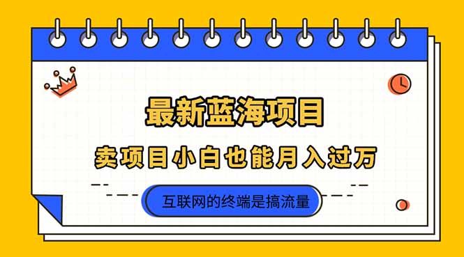 （14289期）2025年最新蓝海项目，卖项目小白也能月入过万-云创网:网创终点站