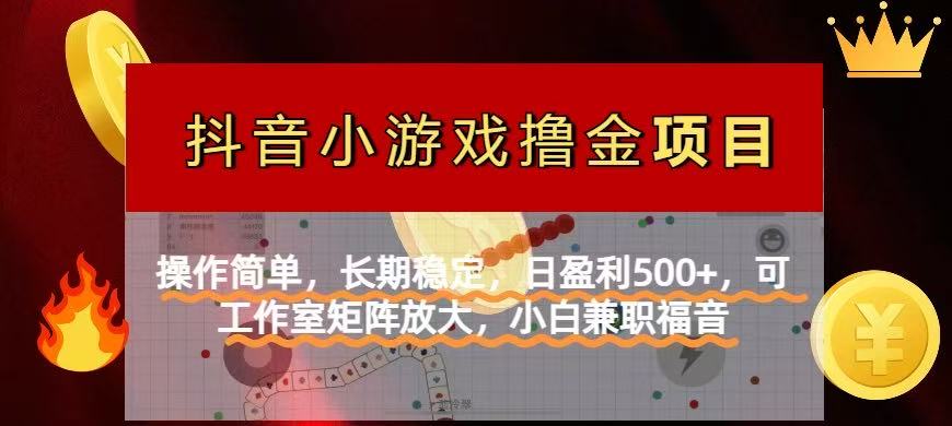 （14290期）【抖音小游戏发行人计划项目】操作简单，长期稳定，日盈利500+，可工作...-云创网:网创终点站