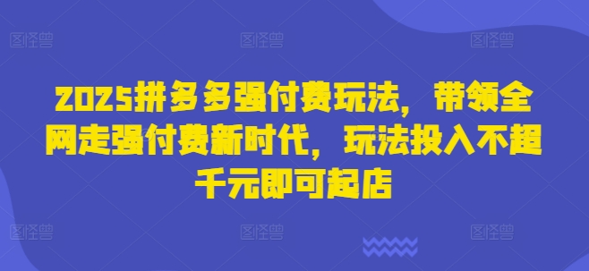 2025拼多多强付费玩法,带领全网走强付费新时代,玩法投入不超千元即可起店-云创网:网创终点站