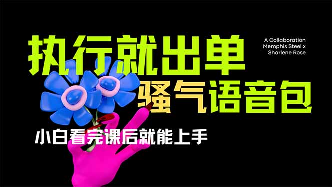 （14170期）爆火全网的开车导航骚气语音包,只要执行就出单，小白看完课程就能实操...-云创网:网创终点站
