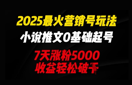 2025最火营销号玩法：小说推文0基础起号，7天涨粉5000，收益轻松破k-云创网:网创终点站
