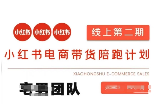 小红书电商带货课2期，月利润20个的小红书电商的有货源，无货源，虚拟产品，付费投流等整套玩法-云创网:网创终点站