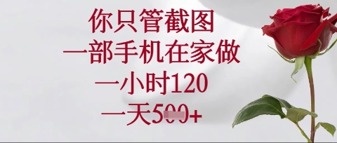你只管截图，一部手机在家操作，一小时120.一天5张【揭秘】-云创网:网创终点站