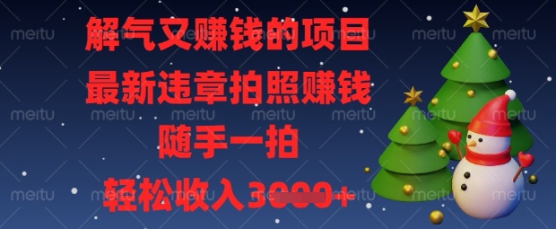 解气又挣钱的项目，最新违章拍照挣钱，随手一拍，轻松收入数张【揭秘】-云创网:网创终点站